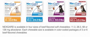 nexgard-sizes