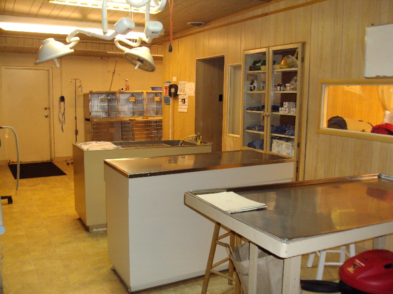 Treatment Area
