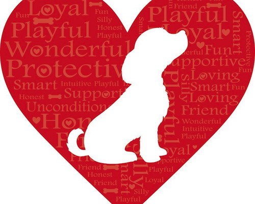 April Promo – $5 Off Heartworm Tests